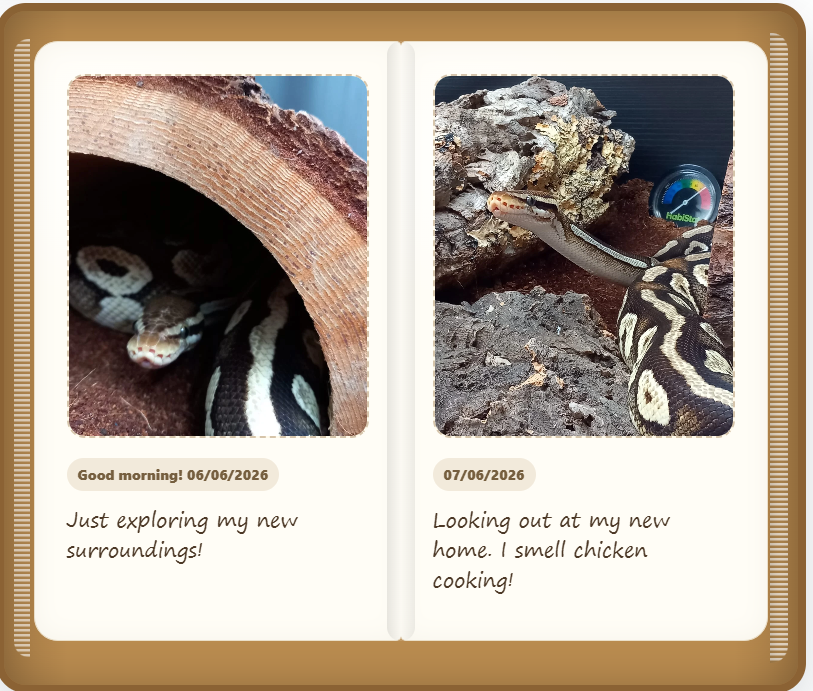 Open pet scrapbook page example
